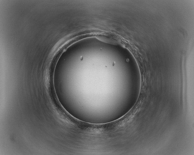 X0000113000247200908271353