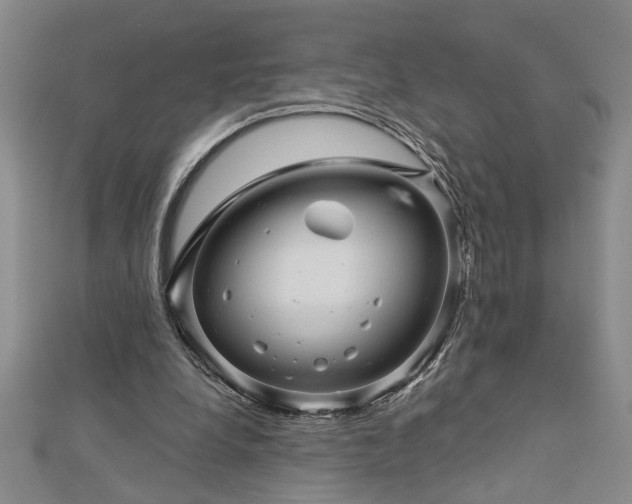 X0000113000248200908271353
