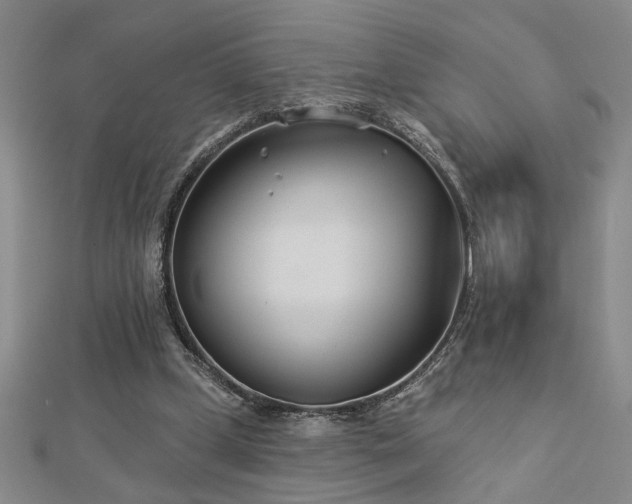 X0000113000249200908271353