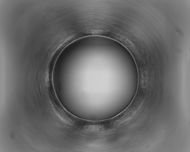 X0000113000251200908271353