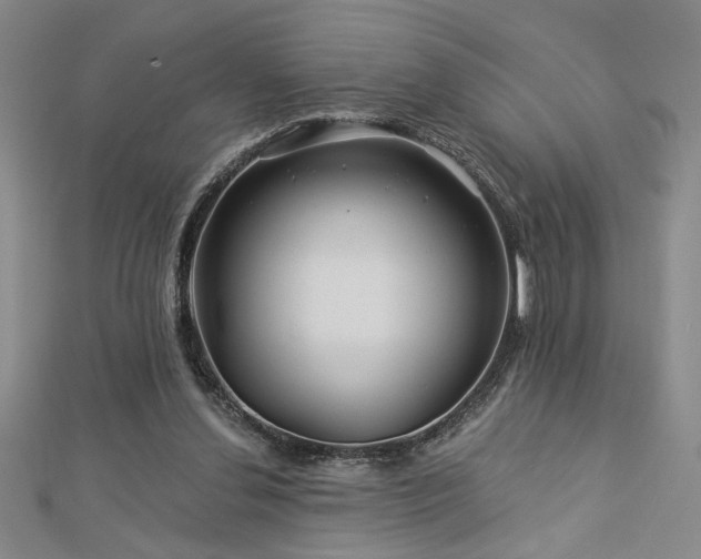 X0000113000252200908271353