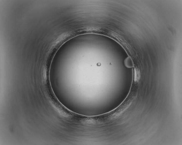 X0000113000253200908271353
