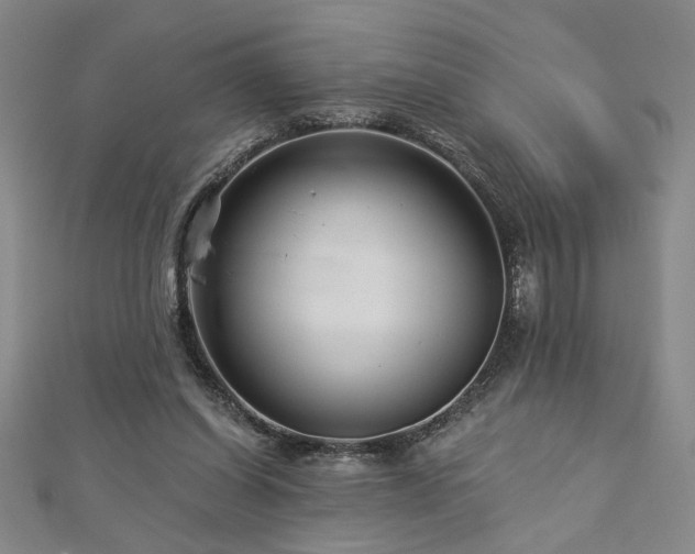 X0000113000254200908271353