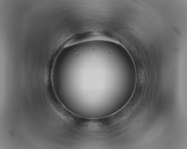 X0000113000255200908271353
