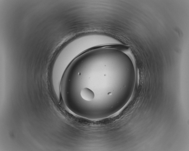 X0000113000256200908271353