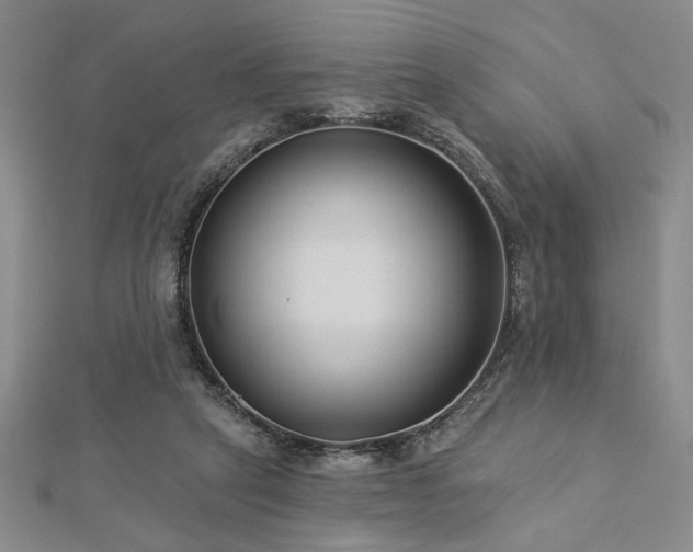 X0000113000257200908271353