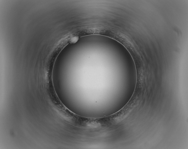 X0000113000258200908271353
