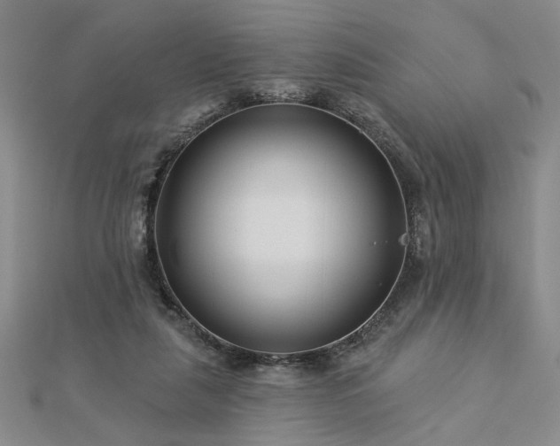 X0000113000259200908271353