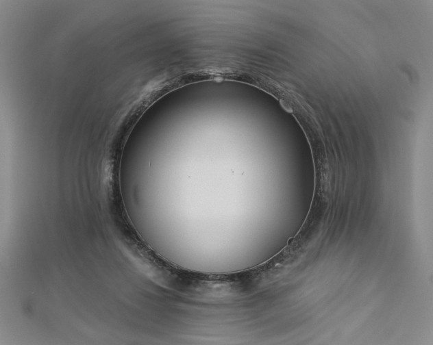 X0000113000260200908271353
