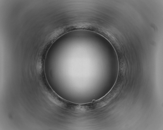 X0000113000261200908271353