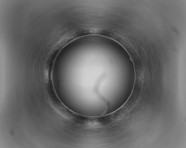 X0000113000262200908271353