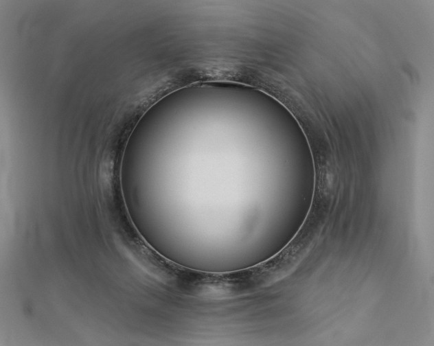 X0000113000263200908271353