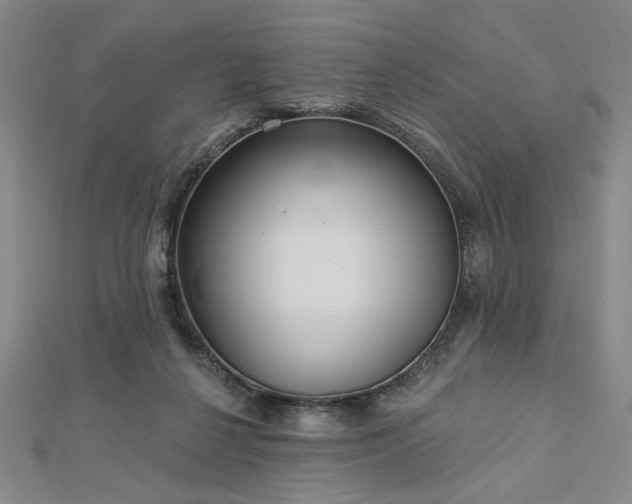 X0000113000264200908271353