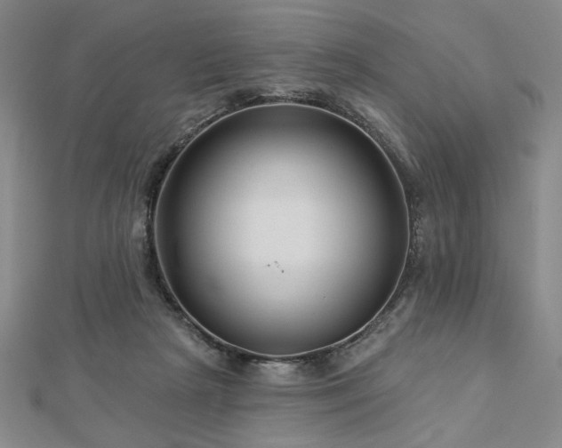 X0000113000265200908271353