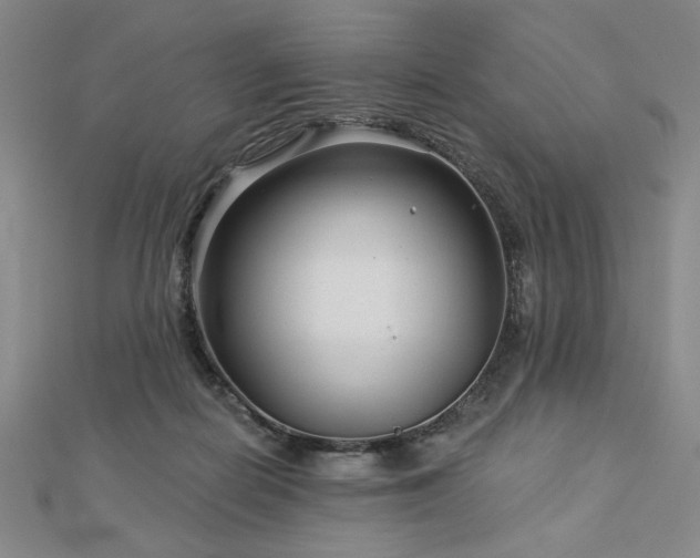 X0000113000266200908271353