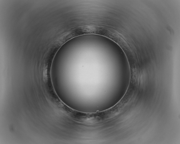 X0000113000267200908271353