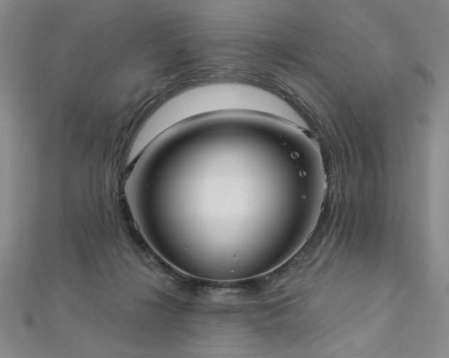 X0000113000268200908271353