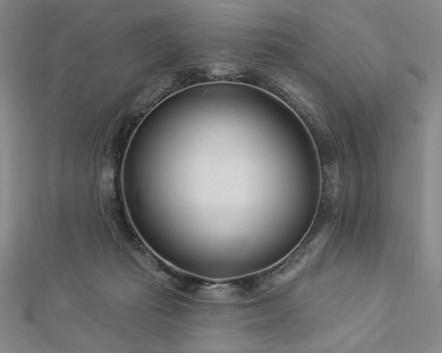 X0000113000269200908271353