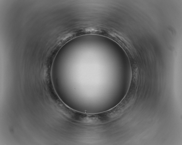 X0000113000270200908271353