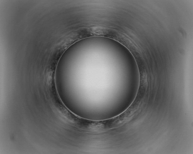 X0000113000271200908271353