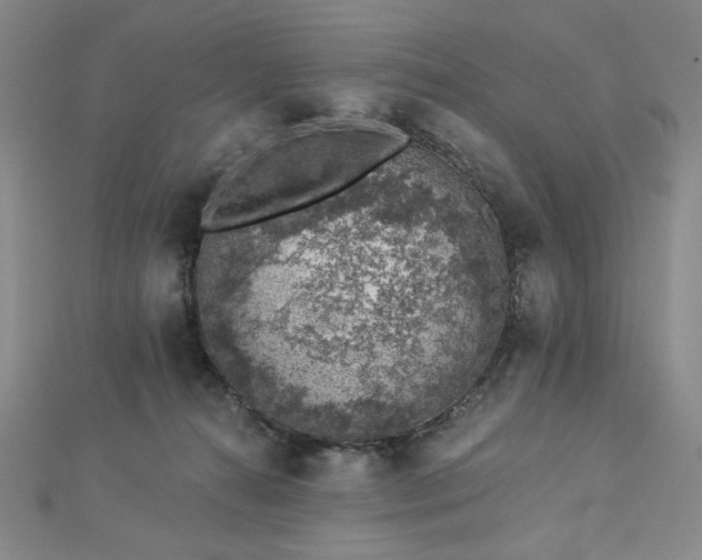X0000113000272200908271354