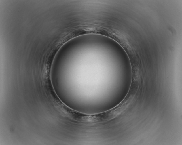 X0000113000273200908271354