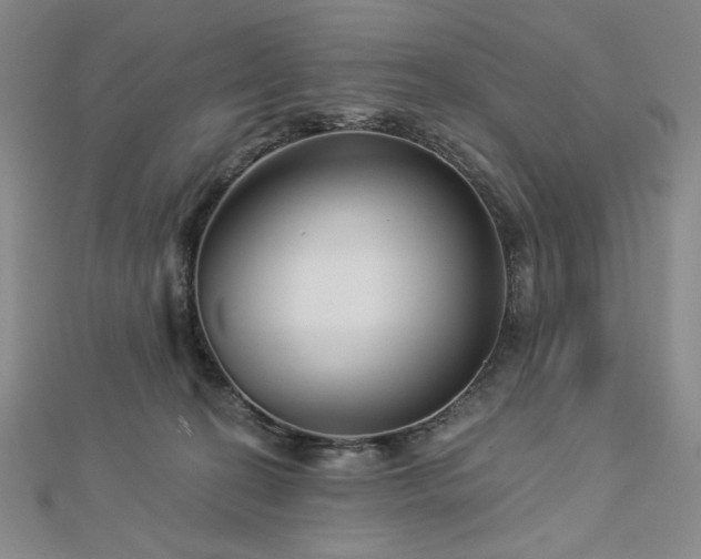 X0000113000274200908271354