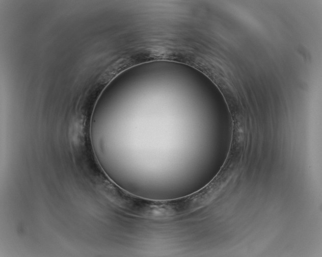 X0000113000275200908271354