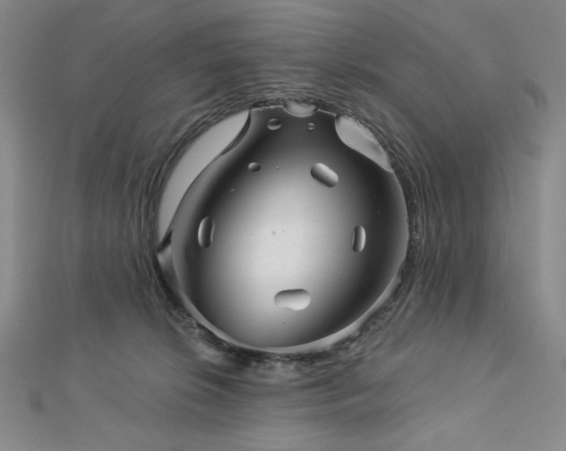 X0000113000276200908271354