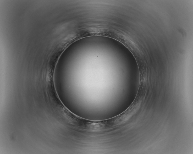 X0000113000277200908271354