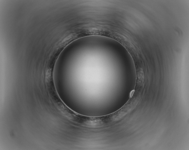 X0000113000278200908271354