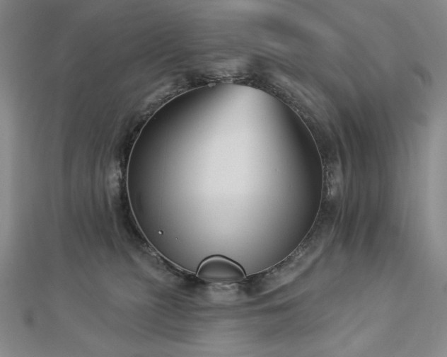 X0000113000279200908271354