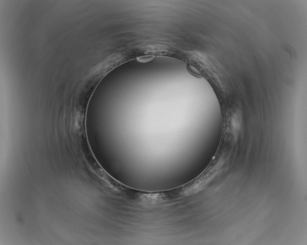 X0000113000281200908271354