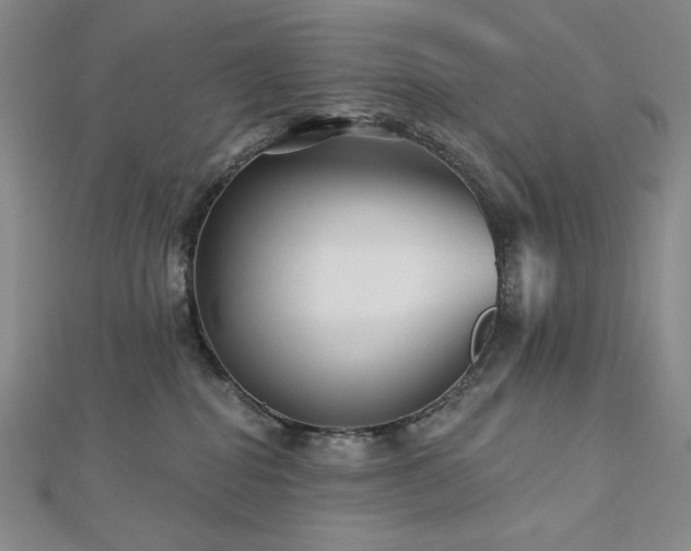 X0000113000282200908271354
