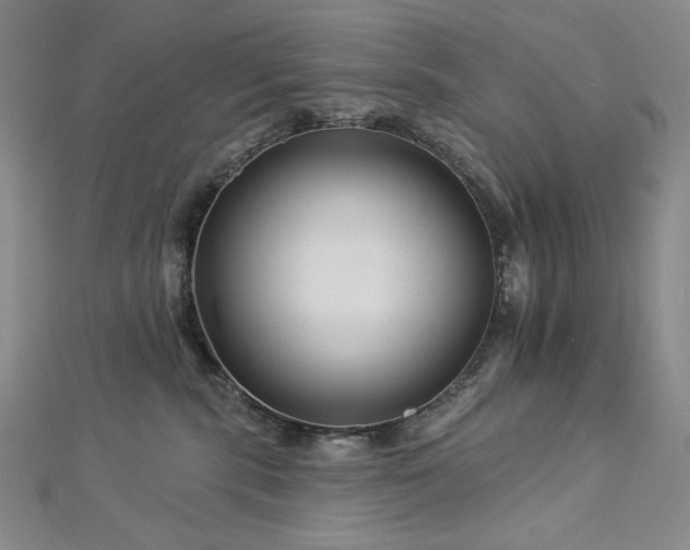 X0000113000283200908271354