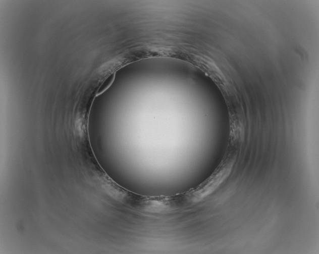 X0000113000285200908271354