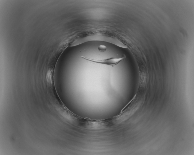 X0000113000286200908271354