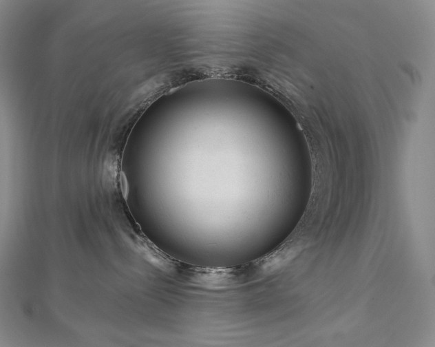 X0000113000288200908271354