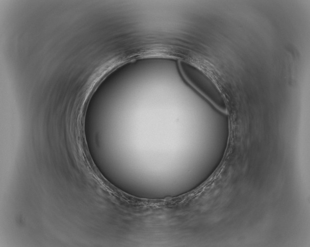 X0000113000289200908271353