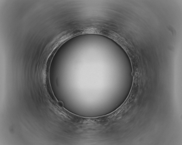 X0000113000290200908271353