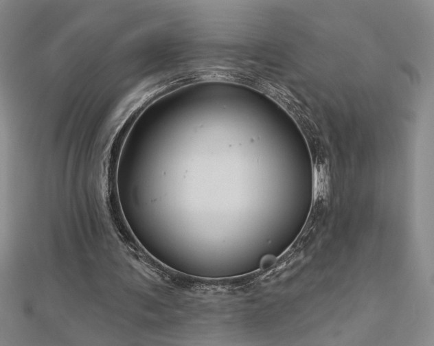 X0000113000291200908271353