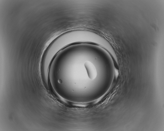 X0000113000292200908271353