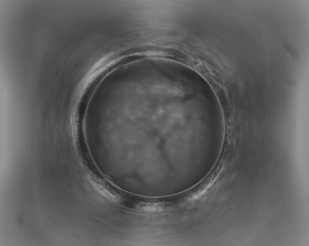 X0000113000295200908271353
