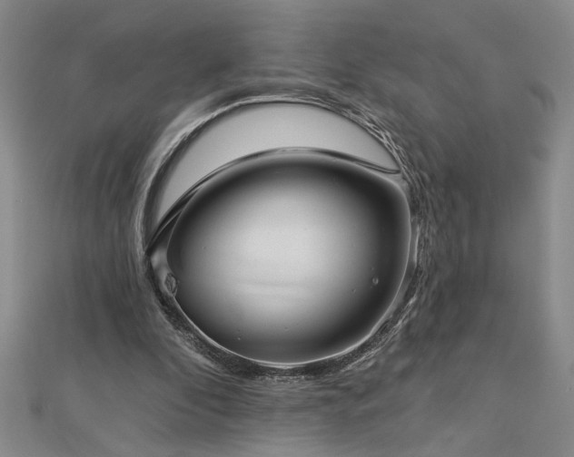 X0000113000296200908271353