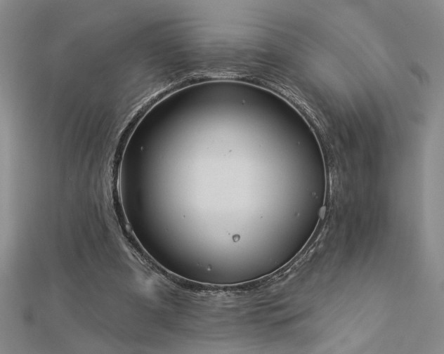 X0000113000297200908271353