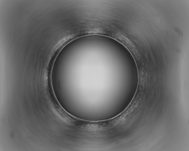 X0000113000298200908271353