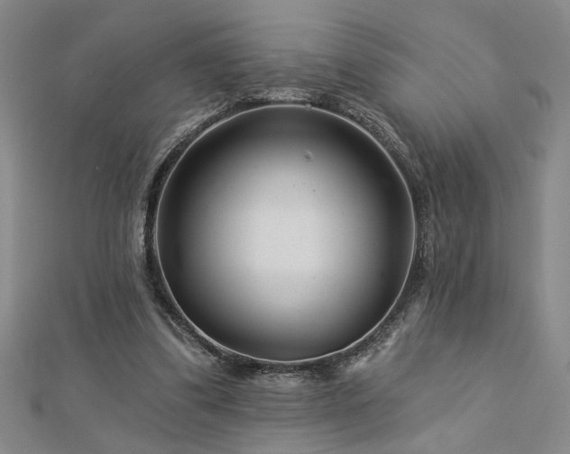 X0000113000299200908271353