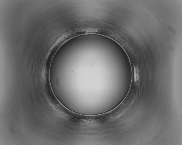 X0000113000300200908271353