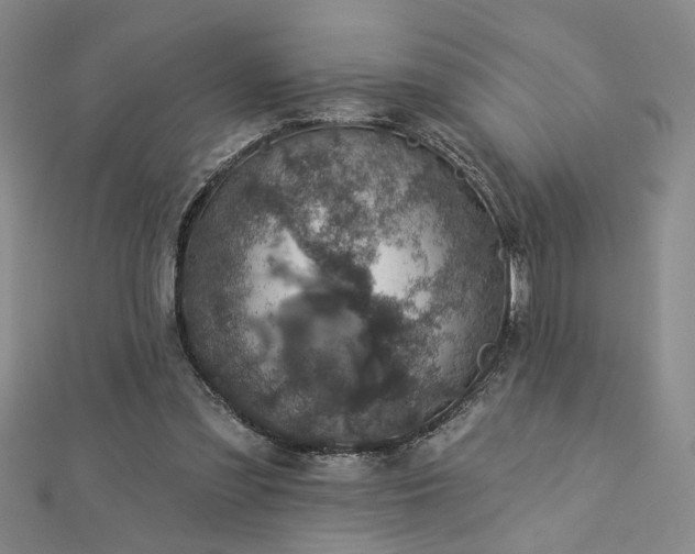 X0000113000301200908271353