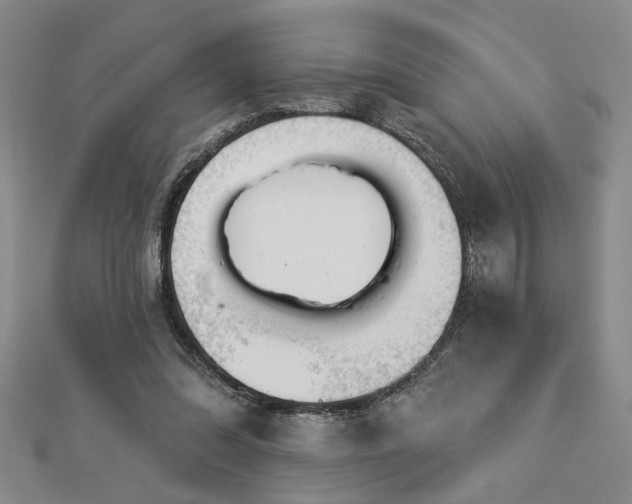 X0000113000302200908271353